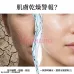 Eunice 膠原水肌柔敏爽膚水 1000ml Eunice 膠原水肌柔敏爽膚水 1000ml